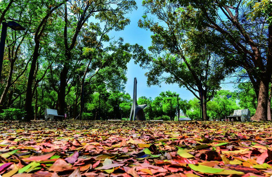 全球濕地消失速度極快，保育刻不容緩（圖為四草濕地）
